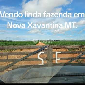 Fazenda em Nova Xavantina, bairro Centro