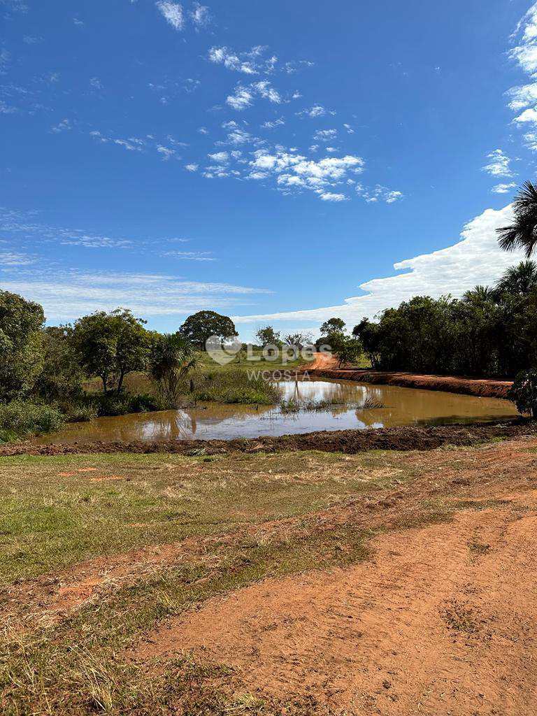 Fazenda em Frutal, no bairro Centro