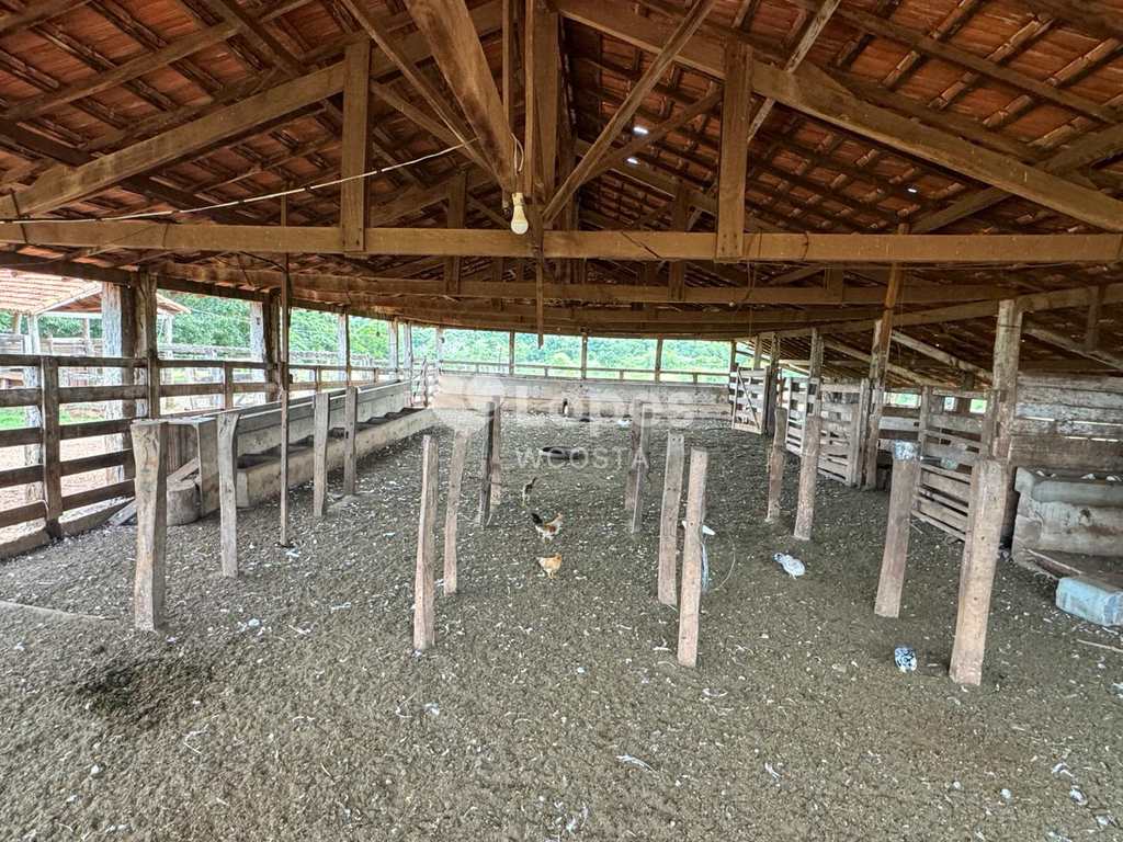 Fazenda em Frutal, no bairro Centro