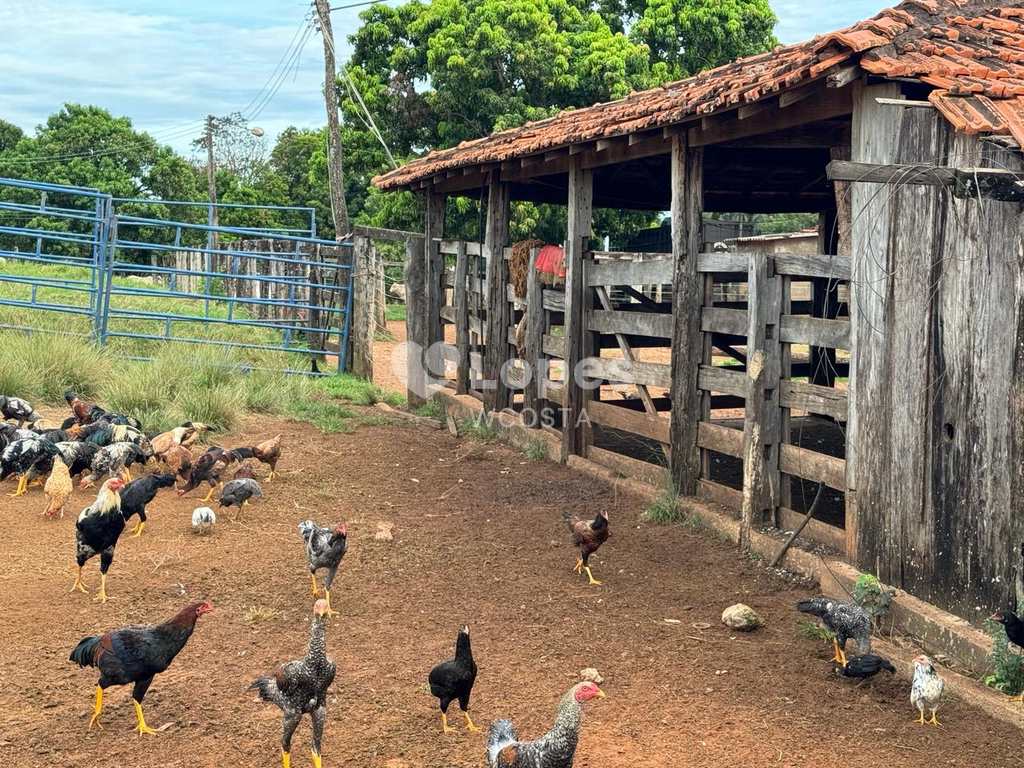 Fazenda em Frutal, no bairro Centro