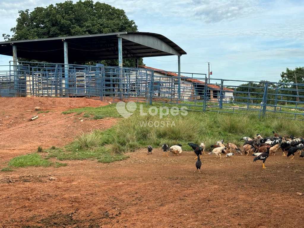 Fazenda em Frutal, no bairro Centro