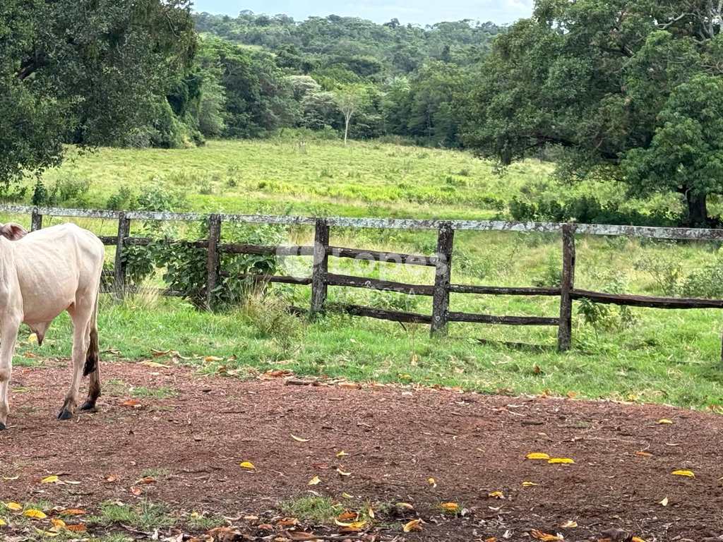 Fazenda em Frutal, no bairro Centro
