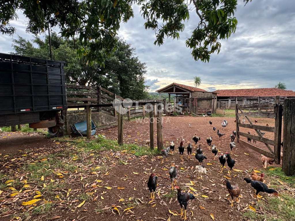 Fazenda em Frutal, no bairro Centro