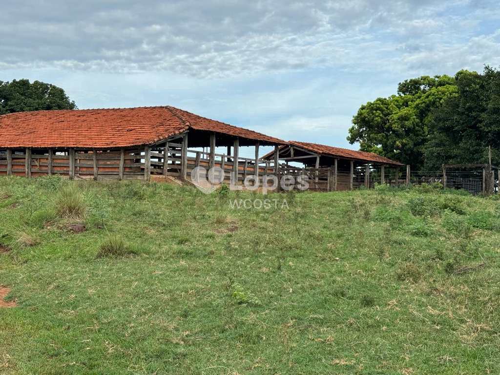 Fazenda em Frutal, no bairro Centro