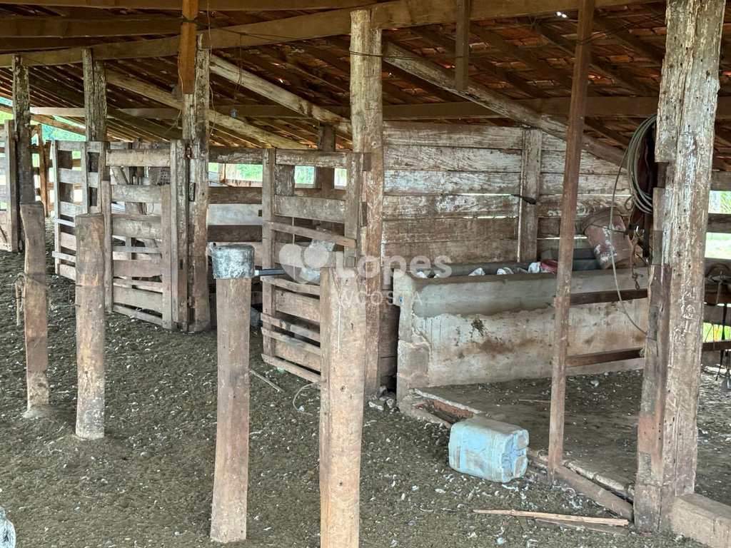 Fazenda em Frutal, no bairro Centro
