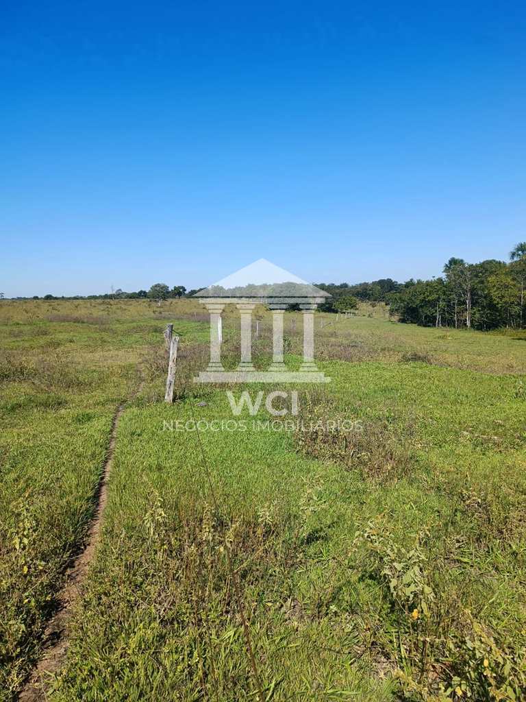 Fazenda em Itarumã, no bairro Setor Central