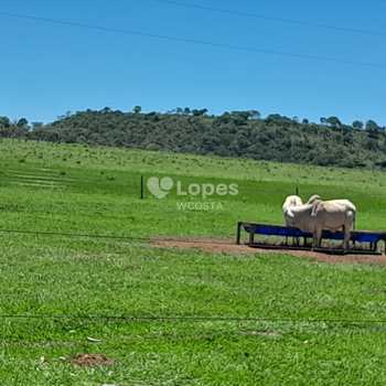 Fazenda em São João D'aliança, bairro Centro