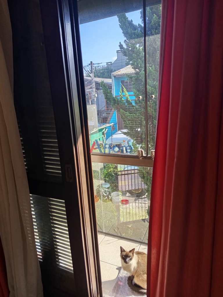 Casa em Caxias do Sul, no bairro Kayser