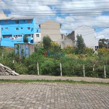 Terreno em Caxias do Sul, bairro Salgado Filho