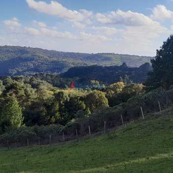 Terreno Rural em Jaquirana, bairro Rural