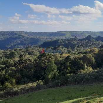 Terreno Rural em Jaquirana, bairro Rural