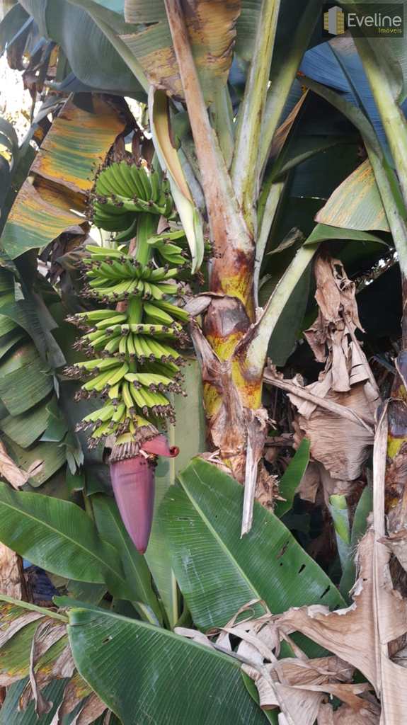 Chácara em Mogi das Cruzes, no bairro Jardim Santos Dumont I