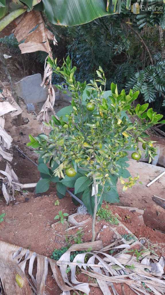 Chácara em Mogi das Cruzes, no bairro Jardim Santos Dumont I