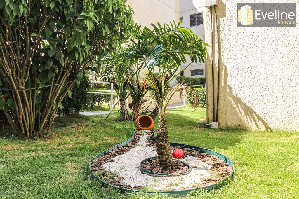Apartamento em São Paulo, no bairro Núcleo Lageado