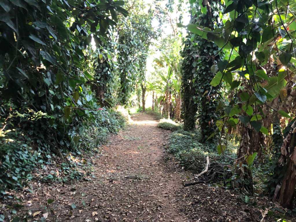 Área em Piedade, no bairro Indefinido
