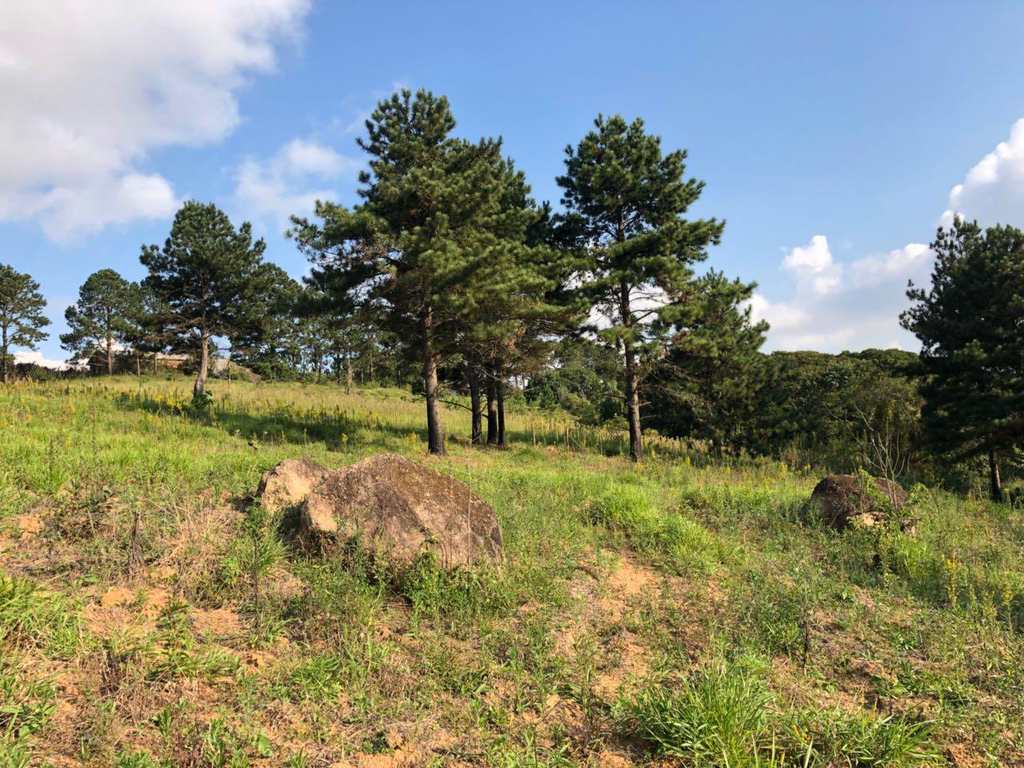 Terreno Rural em Piedade, no bairro Indefinido
