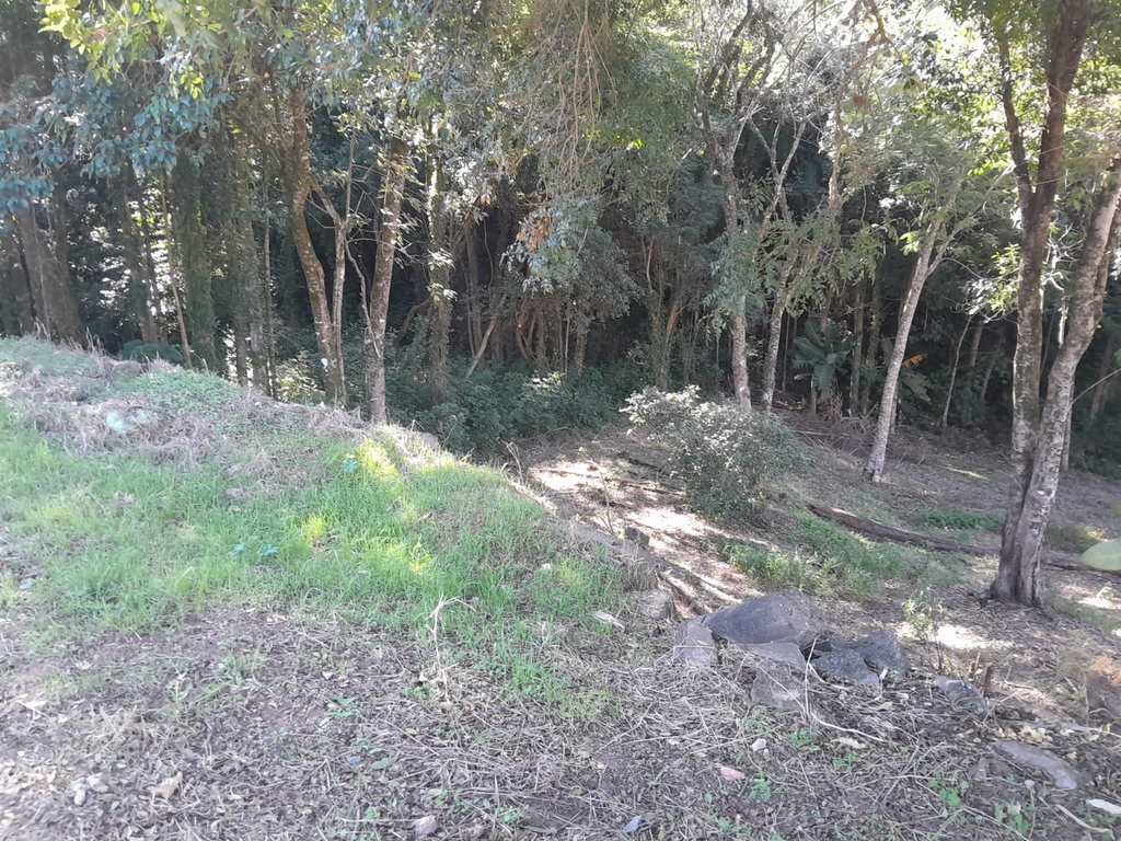 Terreno em Piedade, no bairro Jardim Secol