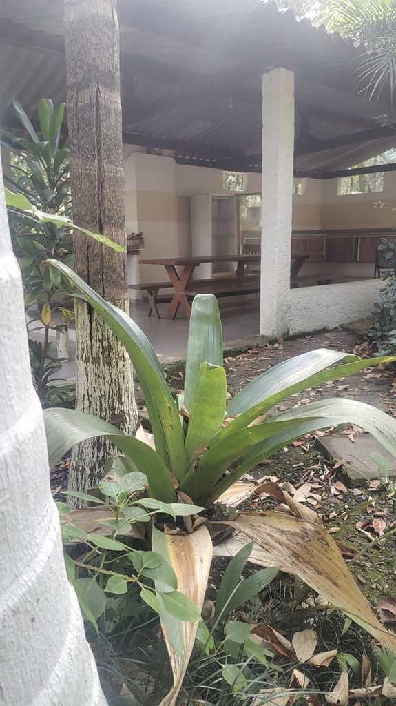 Chácara em Piedade, no bairro Altos da Boa Vista