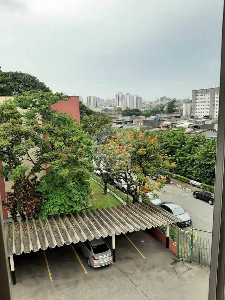 Apartamento em São Paulo, no bairro Jardim Patente