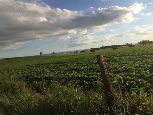 Fazenda, código 272 em Avaré, bairro Represa Jurumirim