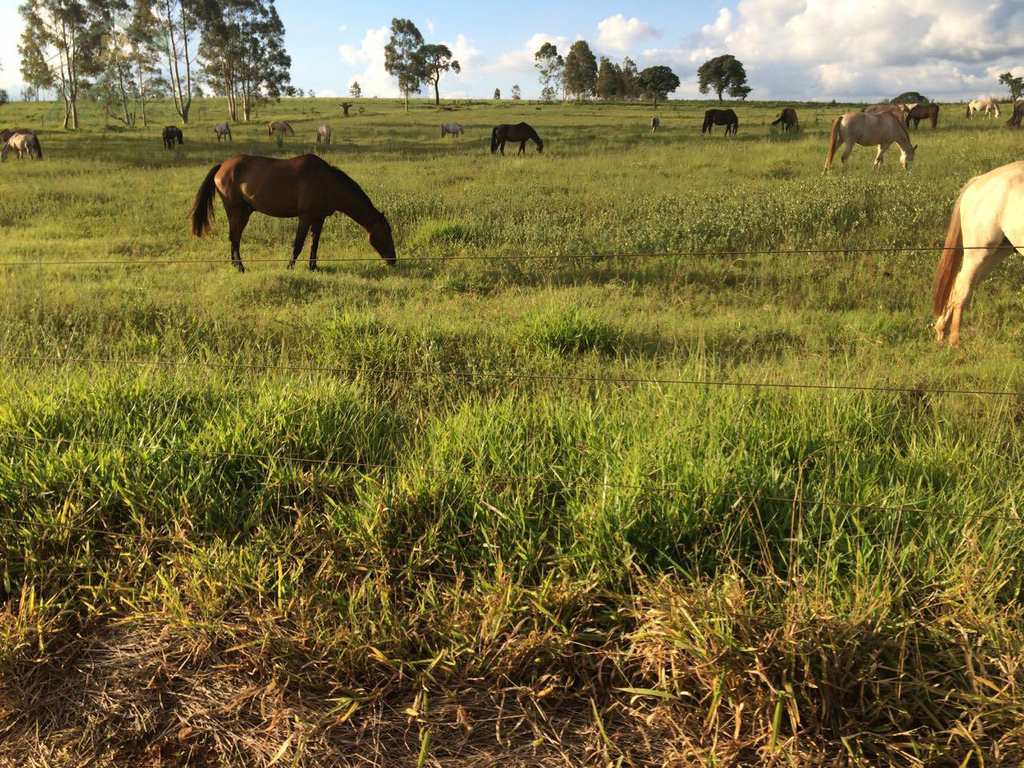 Fazenda em Avaré, no bairro Represa Jurumirim