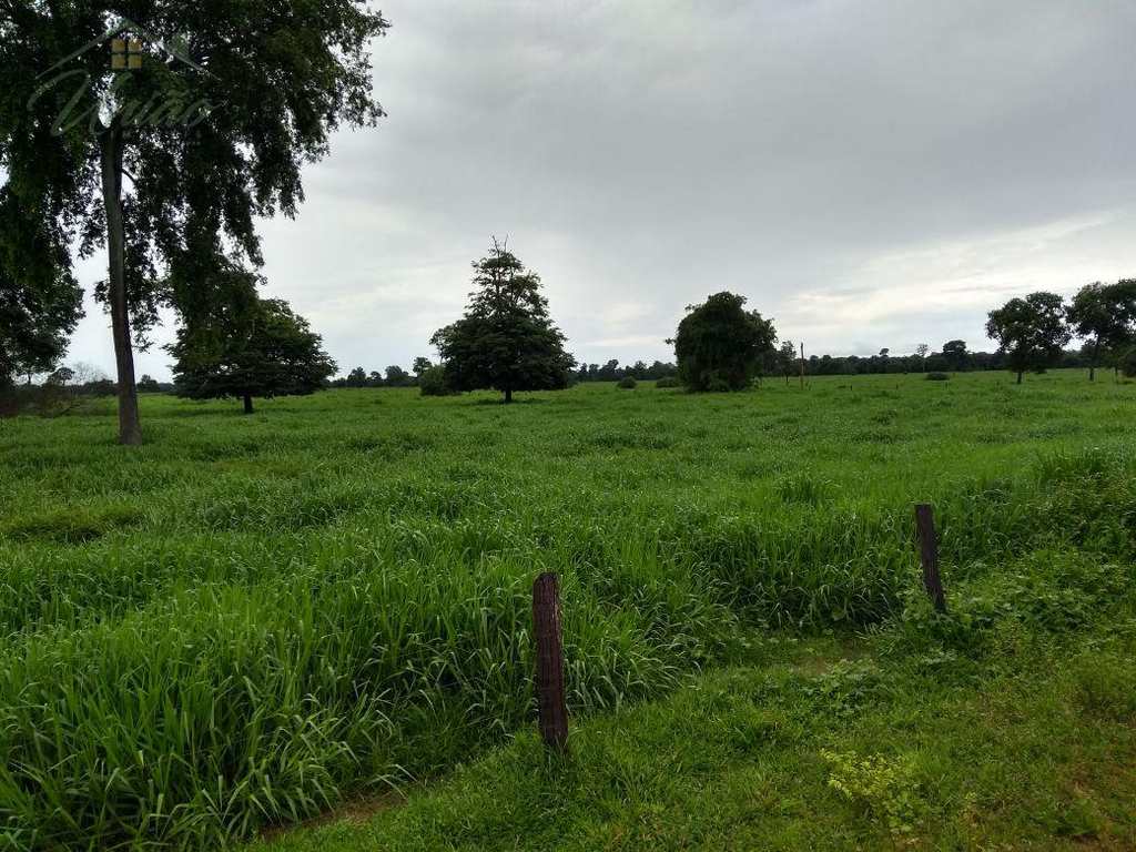 Fazenda em Cassilândia, no bairro Area Rural