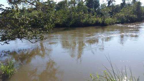 Fazenda, código 346 em Nova Alvorada do Sul, bairro Area Rural