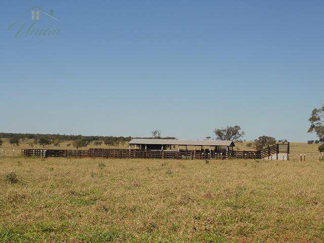 Fazenda em Nova Alvorada do Sul, no bairro Area Rural