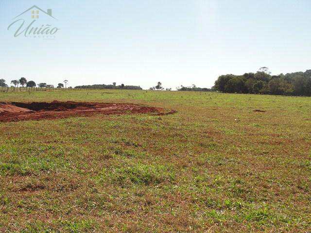 Fazenda em Nova Alvorada do Sul, no bairro Area Rural