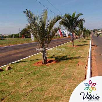 Condomínio em Birigui, no bairro Residencial Vitória