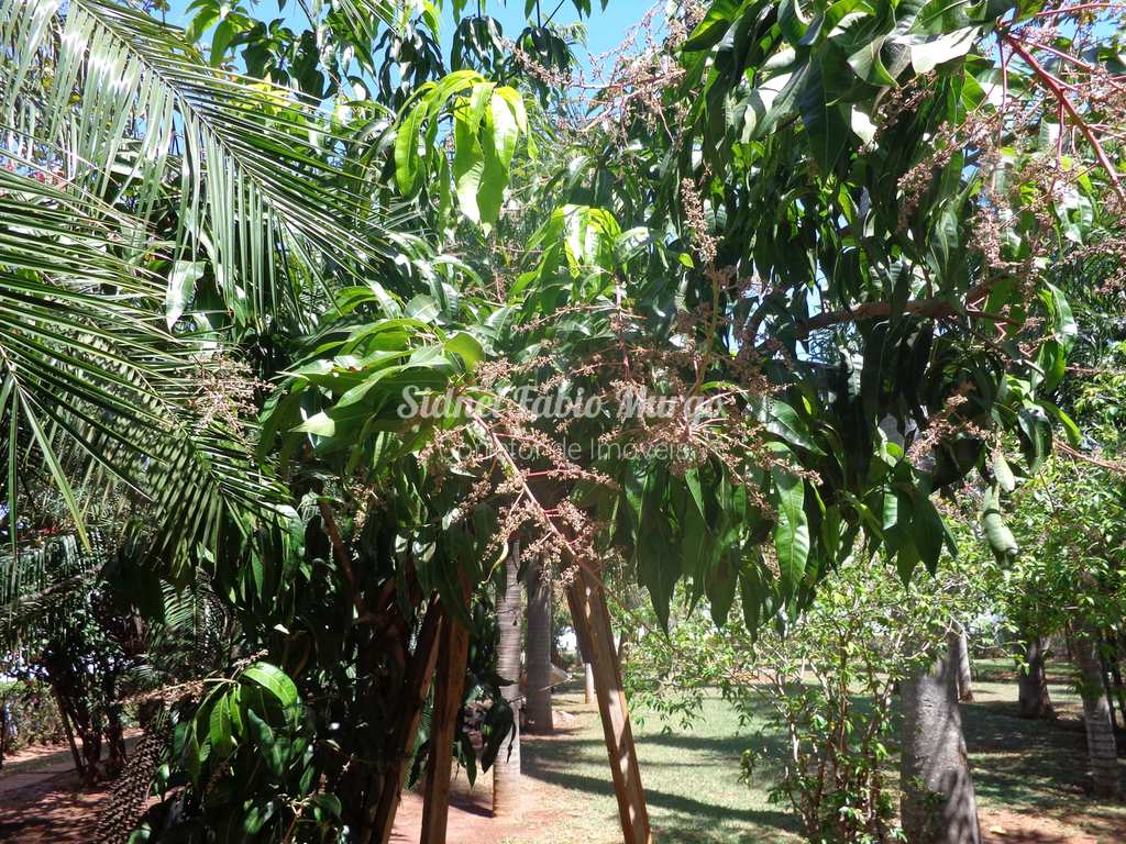 Condomínio em Birigui, no bairro Residencial Art Ville