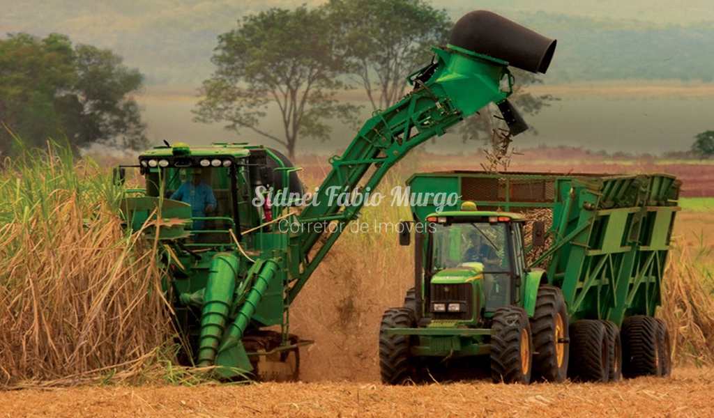 Fazenda em Martinópolis, bairro Área Rural