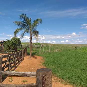 Fazenda em Araçatuba, bairro Região de Araçatuba