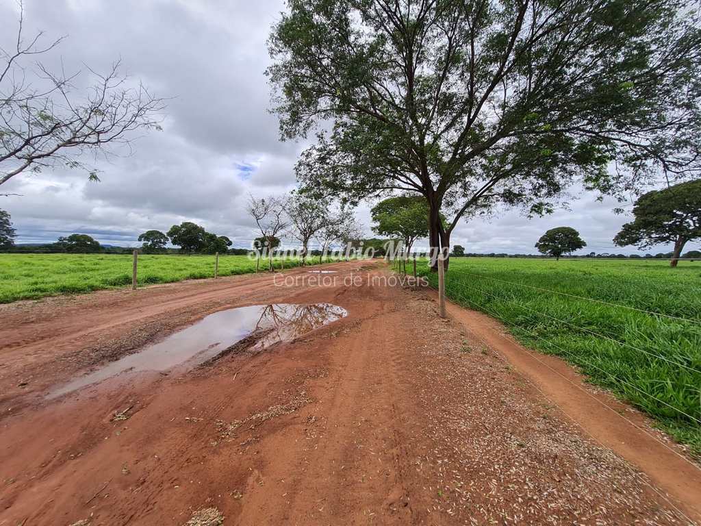 Fazenda em Goiânia, no bairro Área Rural de Goiânia