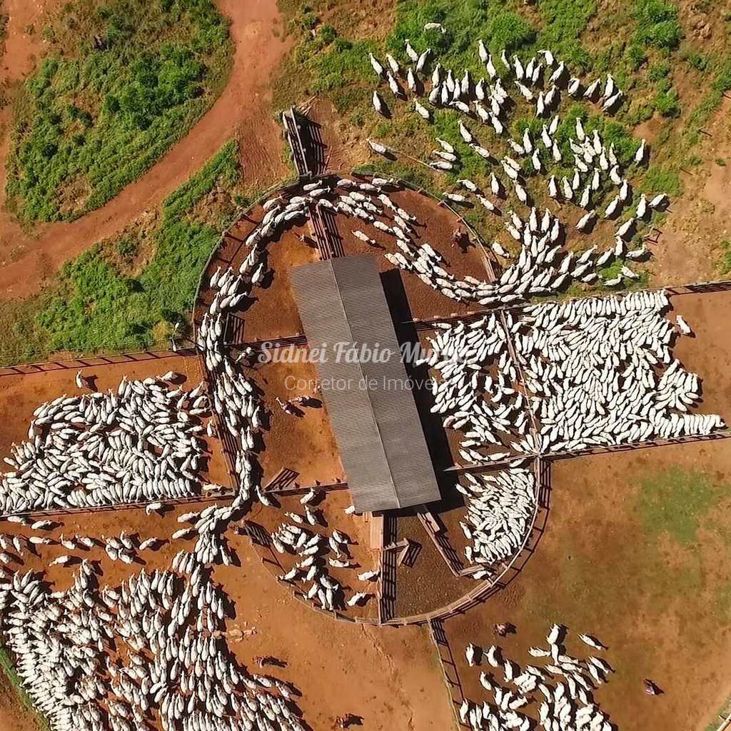 Fazenda em Rondonópolis, no bairro Região de Rondonópolis