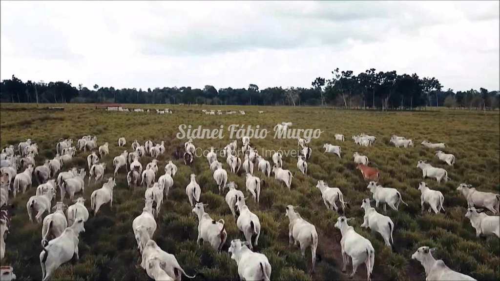Fazenda em Rondonópolis, no bairro Região de Rondonópolis