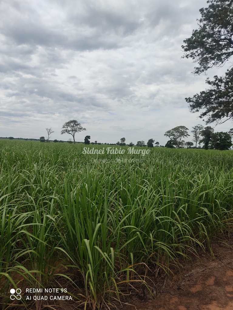 Fazenda em Presidente Prudente, no bairro Região de Presidente Prudente
