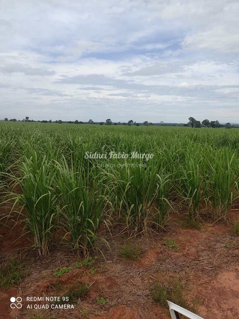 Fazenda em Presidente Prudente, no bairro Região de Presidente Prudente