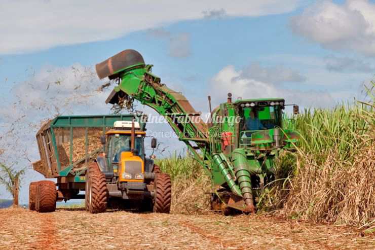 Fazenda em Presidente Prudente, no bairro Região de Presidente Prudente