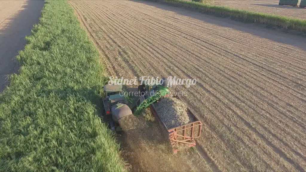 Fazenda em Presidente Prudente, no bairro Região de Presidente Prudente