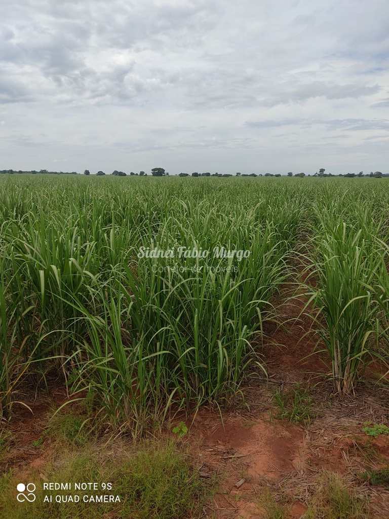 Fazenda em Presidente Prudente, no bairro Região de Presidente Prudente