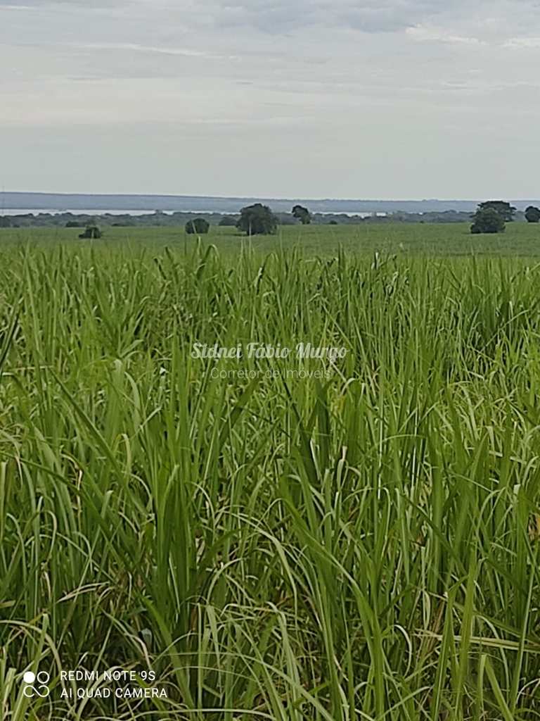 Fazenda em Presidente Prudente, no bairro Região de Presidente Prudente