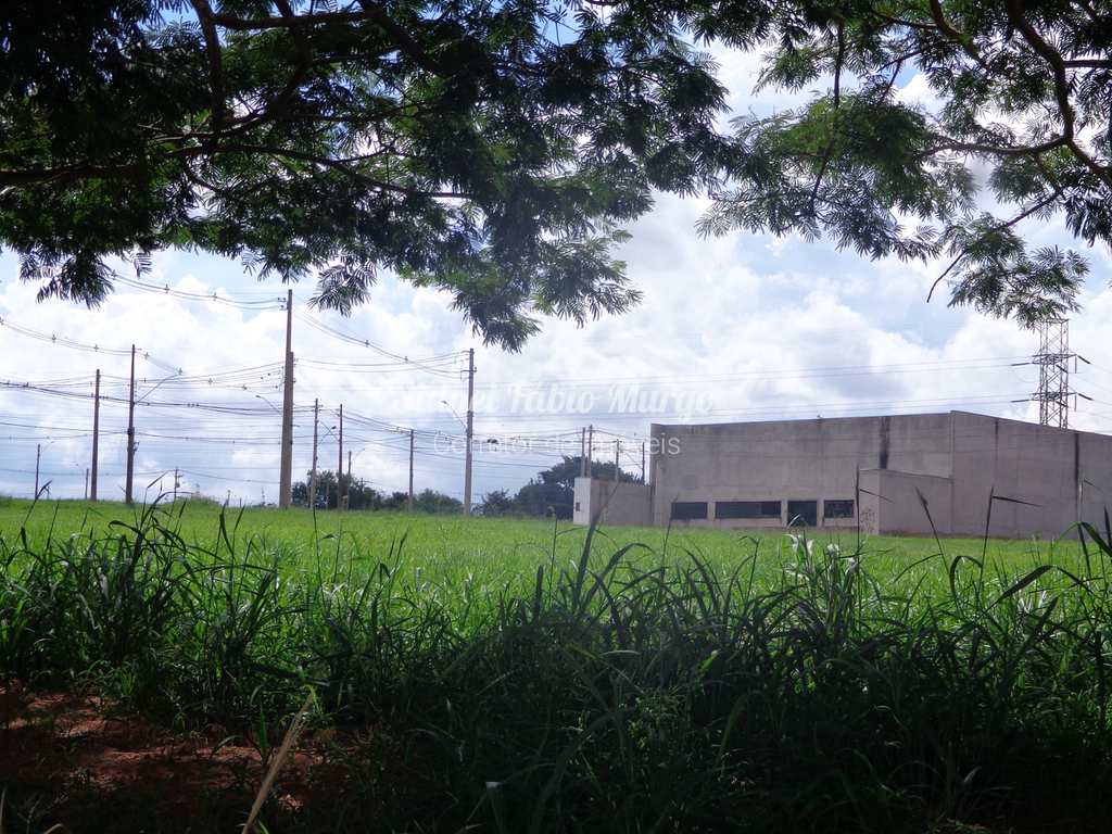 Loteamento em Birigui, no bairro Loteamento São Bento