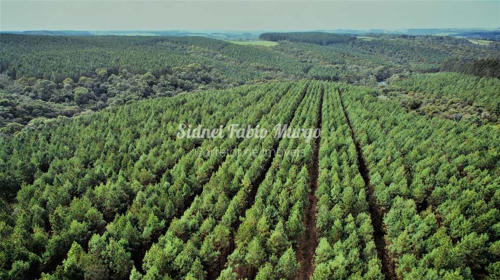 Fazenda em Itapeva, no bairro Região de Itapeva