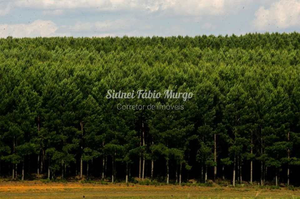 Fazenda em Itapeva, no bairro Região de Itapeva