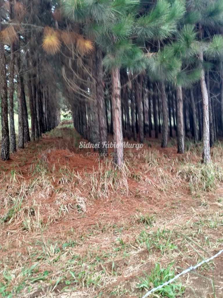 Fazenda em Itapeva, no bairro Região de Itapeva