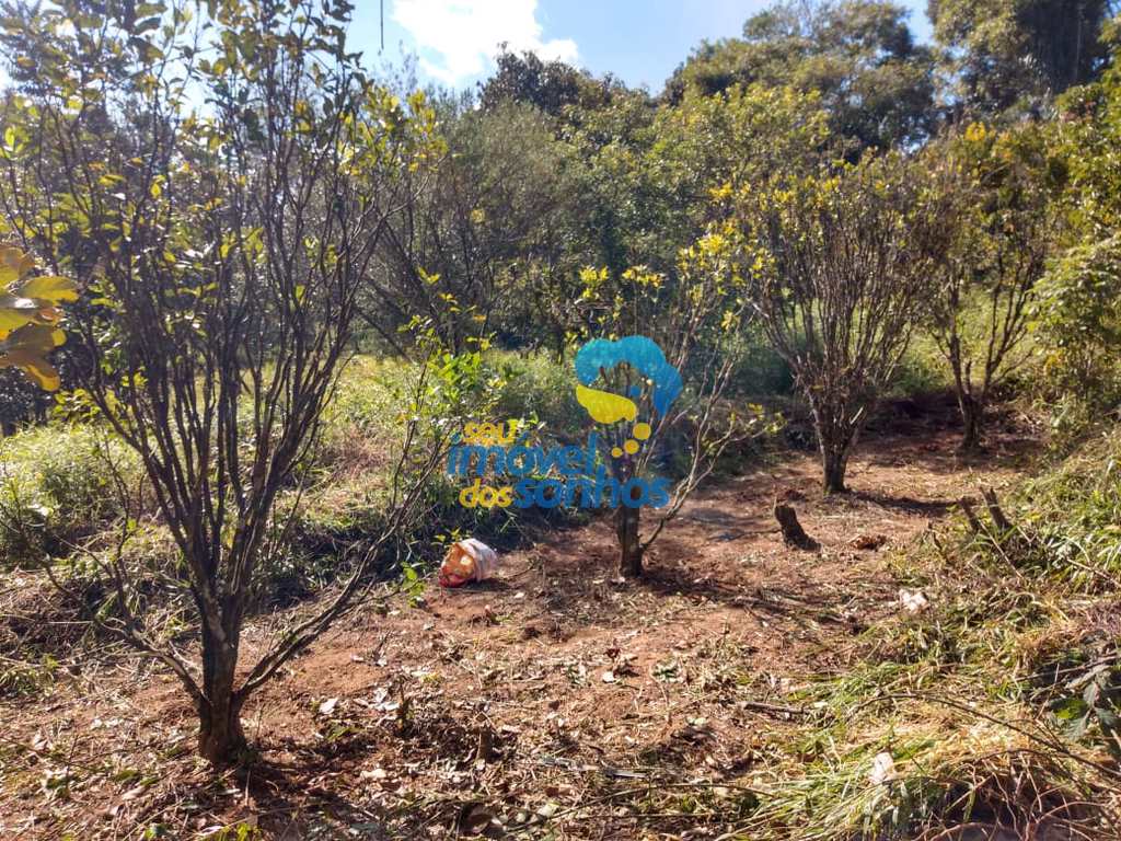 Terreno Rural em Pedra Bela, no bairro Bairros dos Limas