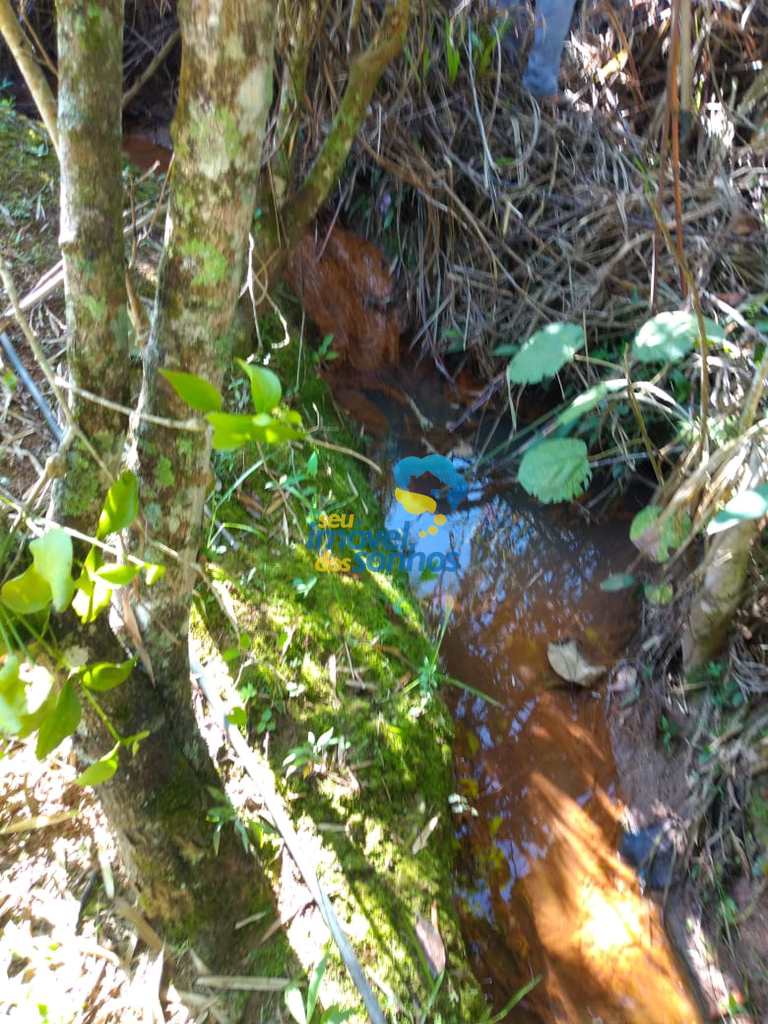 Terreno Rural em Pedra Bela, no bairro Bairros dos Limas