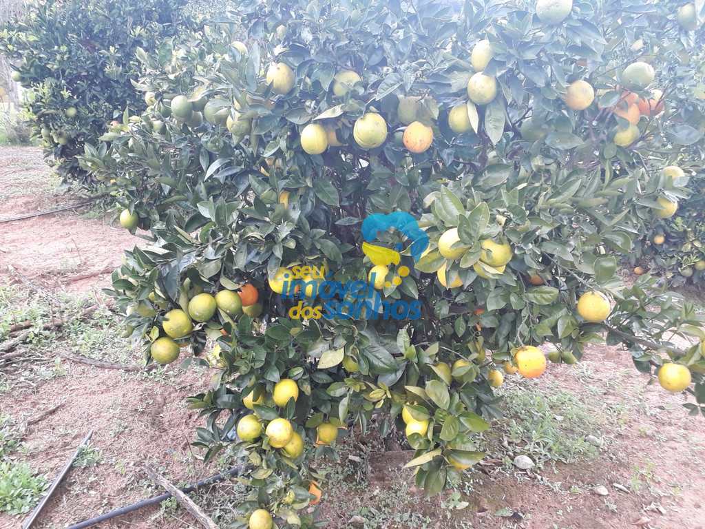 Sítio em Pedra Bela, no bairro Centro