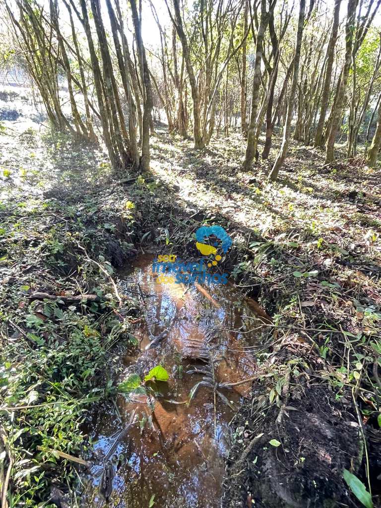Terreno Rural em Pedra Bela, no bairro Centro